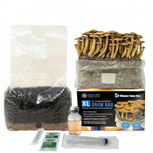 Myco labs 6lb all one - 6lb, all-in-one