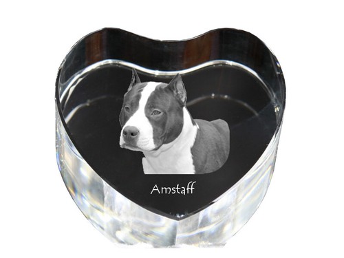 American staffordshire terrier - staffordshire,