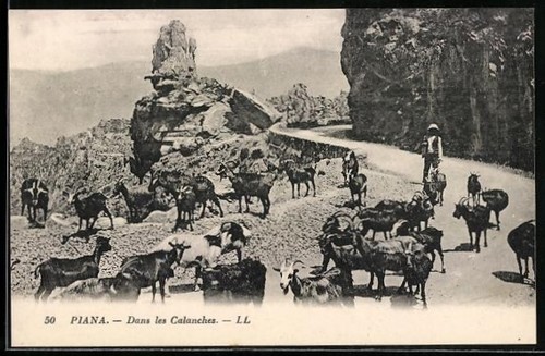 Cpa piana dans les - piana,, calanches