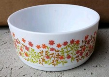 BUF1 - Saladier ARCOPAL décor