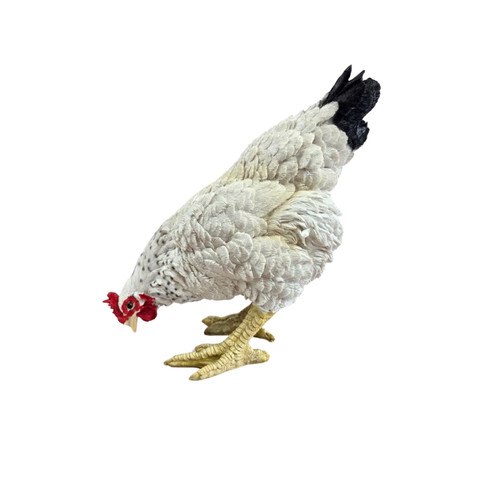 Statue poule résine - statue, en