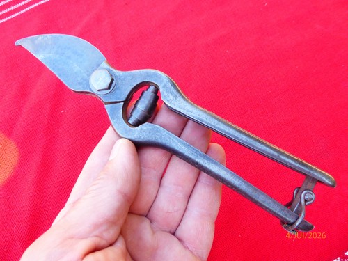 Secateur viticulteur - secateur, de