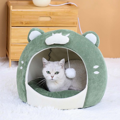 Chatons chat lit - chatons,