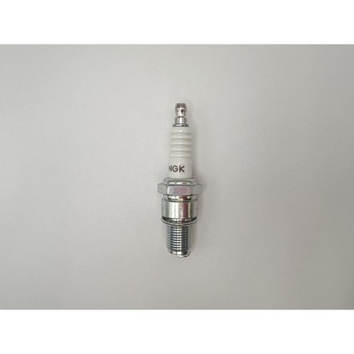 Spark plug standard - standard, ducati