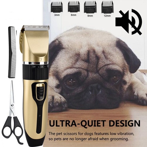 Tondeuse pour chien - pour,