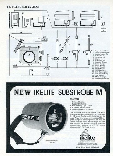 1981 ikelite print scuba - 1981,