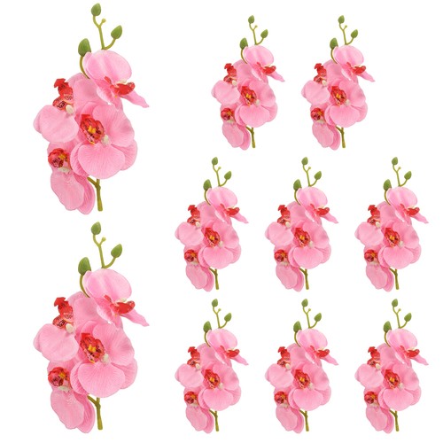 10pcs fleur orchidée - 10pcs,