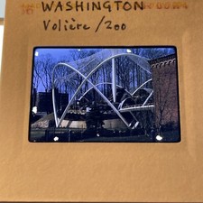 1960 Washington DC Voliere Zoo Vintage Photo 35mm Slide A