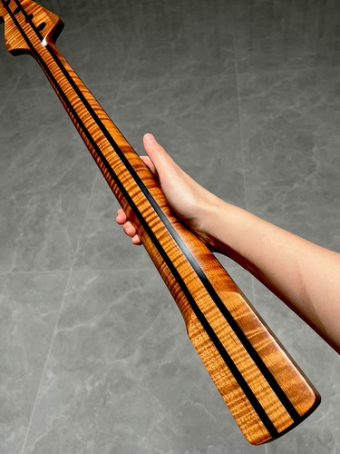 Aaaaa5piece fretless style - fretless,