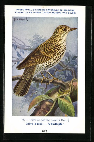 Carte postale artiste - postale, hubert