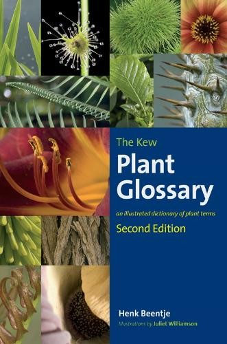 Henk beentje kew plant - kew,