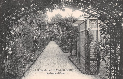 Hay les roses jardin - hay,