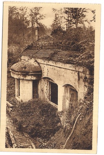 Bois gruerie abris - bois, la