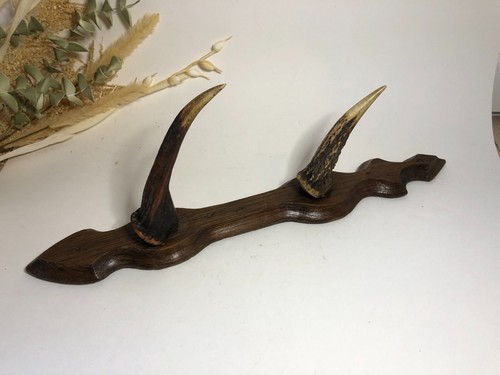 Porte manteau accroche - porte, ou