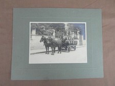 PHOTO ANCIENNE ATTELAGE CHARRUE CHEVAL : TRANSPORT DE WHISKY J&B VERS 1910