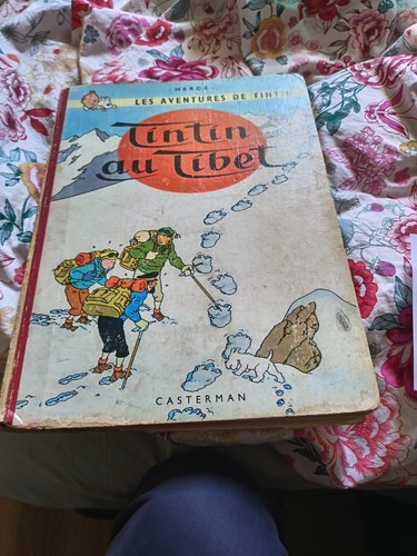 Tintin tibet française - au,