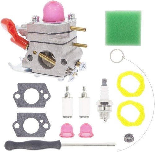 C1u w19 carburateur - c1u-w19, pour