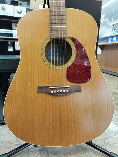 Guitare acoustique seagull - acoustique, s6