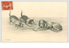 CHATS.n°1437.CHIEN DORMANT ET CHATS A SES COTES