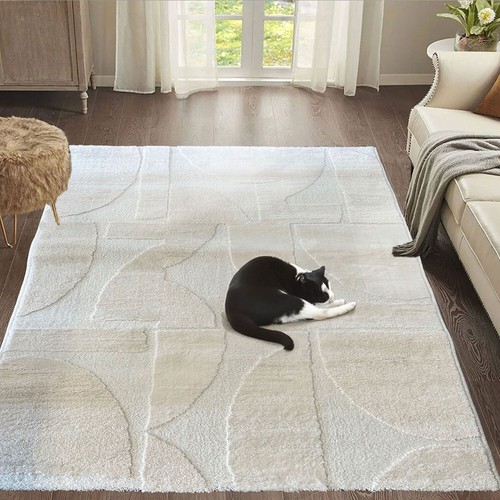 Tapis moderne salon chambre - tapis,