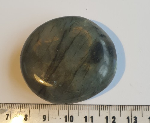 Pierre palmier labradorite - palmier,
