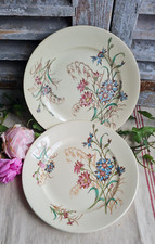 2 ANCIENNES ASSIETTES PLATES TERRE DE FER LUNEVILLE MODELE BLEUET