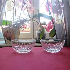 2 fruit, ice or caviar cups baccarat crystal Masséna model