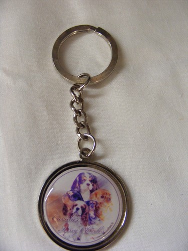Porte clés métal chien - en,