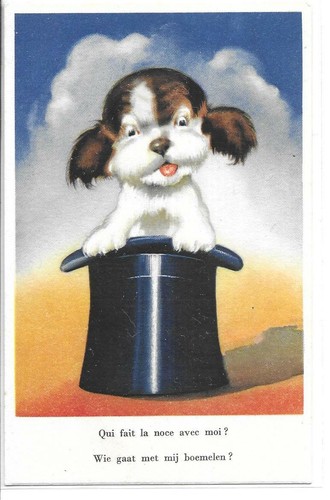 Rare carte postale - /,