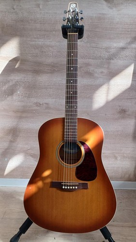 Guitare acoustique seagull - guitare,