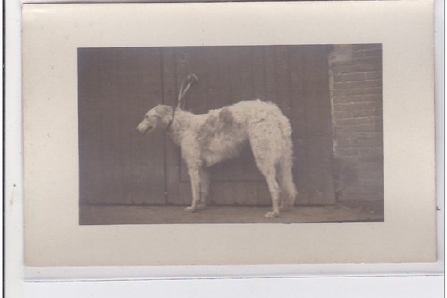 Cyprien carte photo - st-cyprien, :