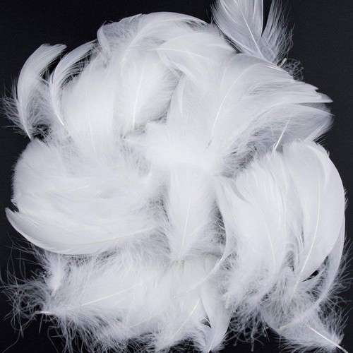 Plumes blanches 300 - blanches,300, plume