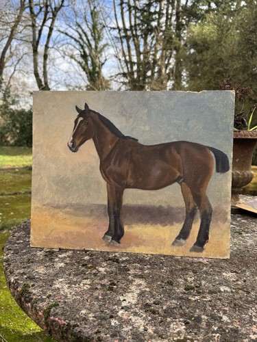 Horse study late 19th - late,