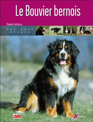 Bouvier bernois leclercq - bernois,,