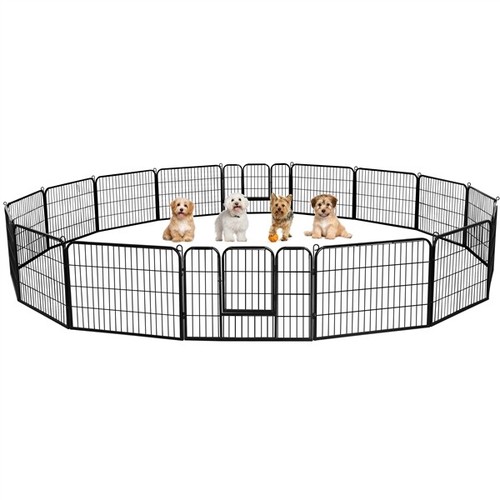 Parc chien chiot - chiot, lapin