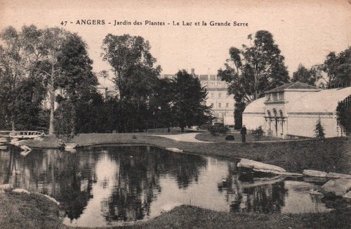 Postcard angers maine loire - postcard,