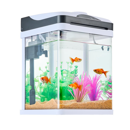 Gallon led glass aquarium - 2-gallon,