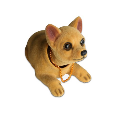 C14d chihuahua voiture - c14d,