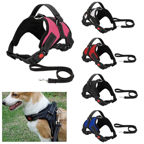 Harnais pour chien anti tir - harnais, anti-tir