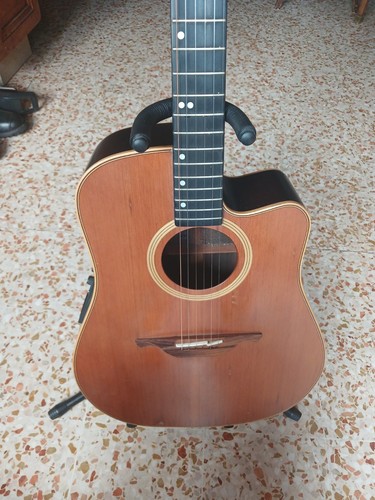 Guitare électro acoustique