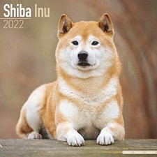 Shiba Inu 2022 Wall Calendar