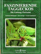 Faszinierende Taggeckos: Die