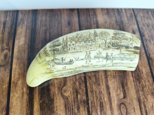 Dent cachalot scrimshaw - de,