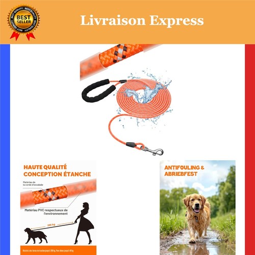 Laisse pour chien imperméable - pour,