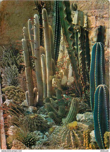 Carte postale fleurs - postale,