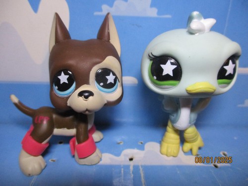 Petshop duo chien dogue - petshop,