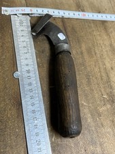 Rainette marquage Forestier