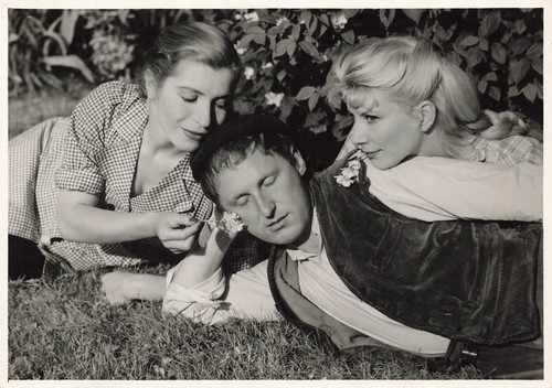 Bourvil rosier mme - de, husson