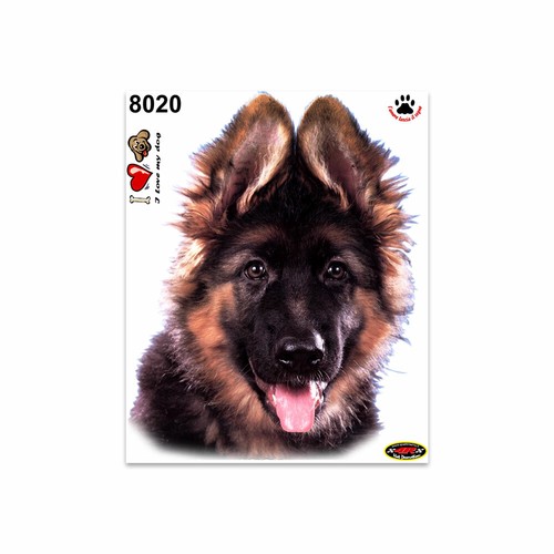 Autocollants chiot berger - chiot,