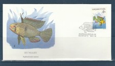 Eta env.  Hongrie faune poisson papilioschromis ramirezi  1987